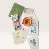 House of Holabox Dancing with Juniper floral heat pillow with lavender and wheat, surrounded by botanical art prints.