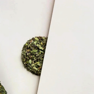 The Rabbit Hole Tea | Tubes - Assorted – Native Mint