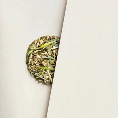 The Rabbit Hole Tea | Tubes - Assorted – Bush Lemon & Ginger
