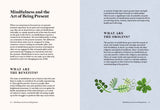 House of Holabox book pages titled Mindfulness and the Art of Being Present with a green leaf illustration