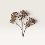 House of Holabox natural brown fennel flower spray with delicate feathery dried blooms for rustic home decor