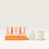 House of Holabox Palm Beach Collection Cabana Cocktail candle and reed diffuser gift set in decorative box