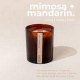 House of Holabox saide. large amber glass soy candle with a wood wick and minimalist label on a neutral background.
