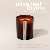 House of Holabox saide. amber glass soy candle with a wood wick and olive leaf and thyme label on a neutral background