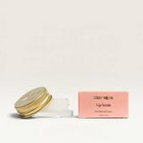 House of Holabox Stray Willow Peaches and Cream sugar lip scrub in a glass jar with gold lid and matching pink box.