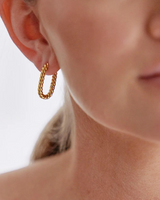 House of Holabox gold twisted hoop earrings worn on a model, featuring a textured 18K gold-plated titanium design.