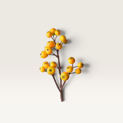 Loquat Spray Yellow