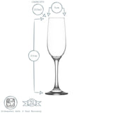 LAV Fame Champagne Flute-House of Holabox
