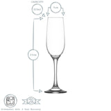 LAV Fame Champagne Flute-House of Holabox