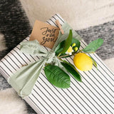 Lemon Spray-House of Holabox