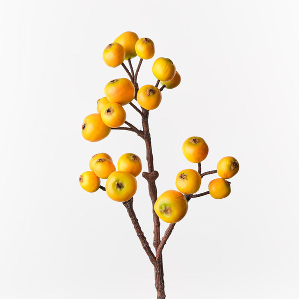 Loquat Spray Yellow