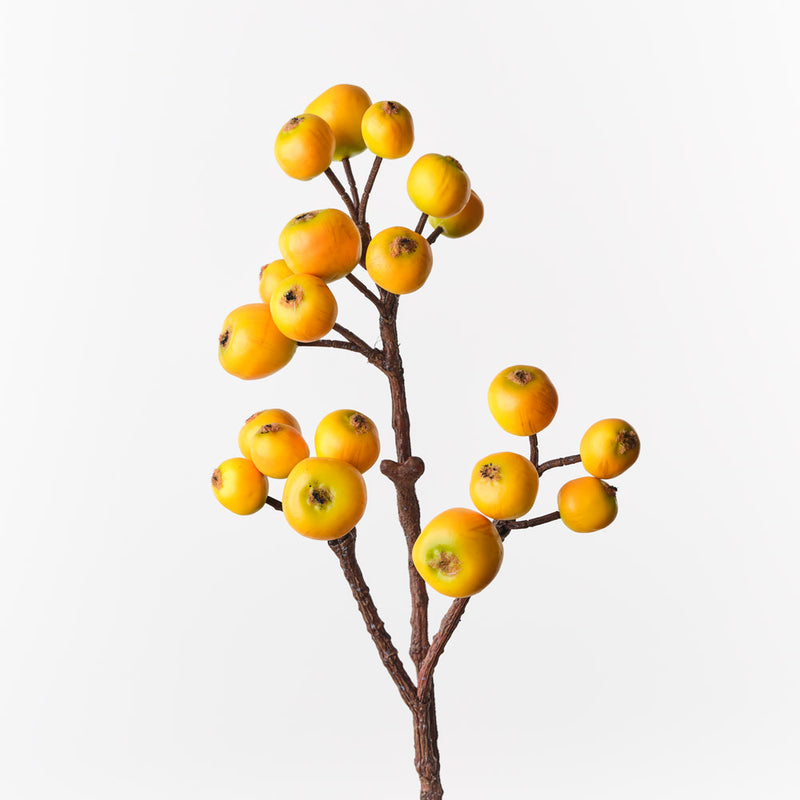 Loquat Spray Yellow