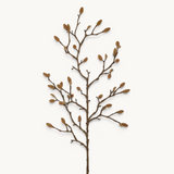 Magnolia Bud Spray-House of Holabox
