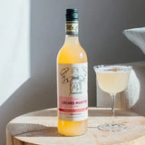 'Mr Consistent' Martini Cocktail Mixers-Lychee Martini-House of Holabox