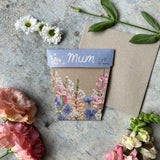 Mum Gift of Seeds (Australia Only)-House of Holabox