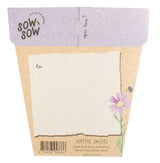Native Daisies Gift of Seeds (Australia Only)-House of Holabox