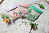 Native Daisies Gift of Seeds (Australia Only)-House of Holabox