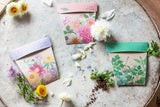 Native Daisies Gift of Seeds (Australia Only)-House of Holabox