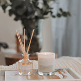 'Palm Beach Collection' Mini Reed Diffuser 50ml (Clove & Sandalwood)-House of Holabox