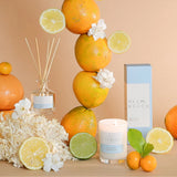 'Palm Beach Collection' Mini Reed Diffuser 50ml (Yuzu & Sea Moss)-House of Holabox