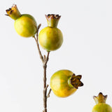Pomegranate Spray - Green-House of Holabox