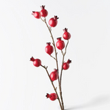 Pomegranate Spray - Red-House of Holabox