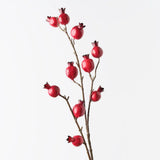 Pomegranate Spray - Red-House of Holabox