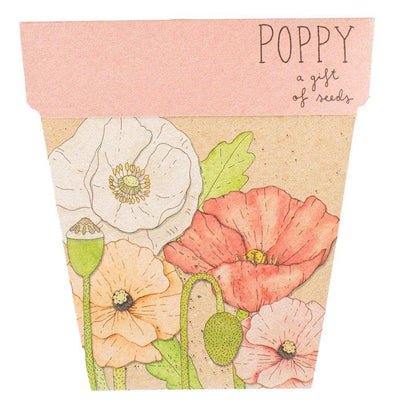 Poppy Gift of Seeds (Australia Only)