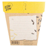 Sunflower Gift of Seeds (Australia Only)-House of Holabox