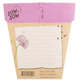 Sweet Pea Gift of Seeds (Australia Only)-House of Holabox