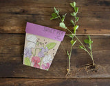 Sweet Pea Gift of Seeds (Australia Only)-House of Holabox