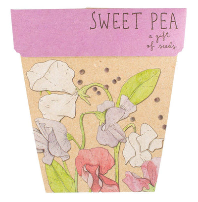 Sweet Pea Gift of Seeds (Australia Only)