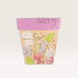 Sweet Pea Gift of Seeds (Australia Only)-House of Holabox