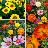 Teachers Plant Seeds - Flower Seeds-House of Holabox