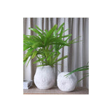 Terra Vase-House of Holabox