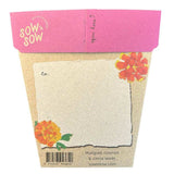 Thanks a Bunch Gift of Seeds-House of Holabox