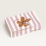 ‘The Commonfolk Collective’ Stripe Body Bar Series-Grateful-House of Holabox
