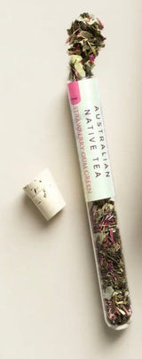 ‘The Rabbit Hole Tea’ Tubes - Assorted-House of Holabox