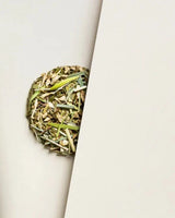 ‘The Rabbit Hole Tea’ Tubes - Assorted-Bush Lemon & Ginger-House of Holabox