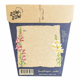 Thinking Of You Snapdragon Seeds-House of Holabox
