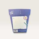 With Sympathy Gift of Seeds-House of Holabox