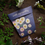 With Sympathy Gift of Seeds-House of Holabox
