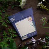 With Sympathy Gift of Seeds-House of Holabox