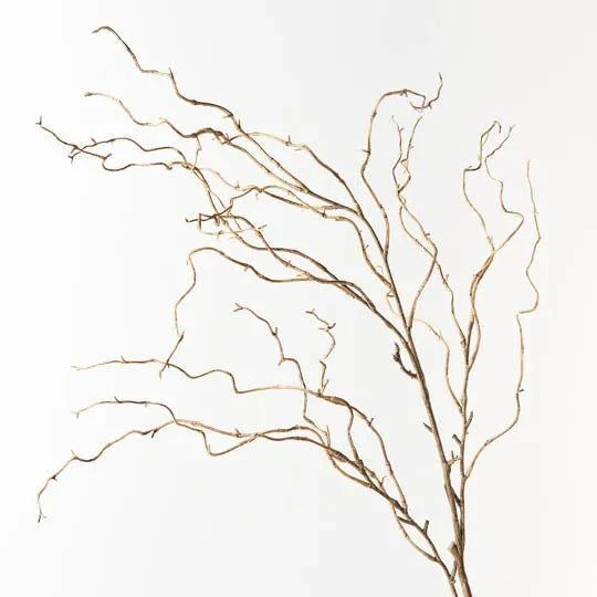 Twig Curly Willow Spray