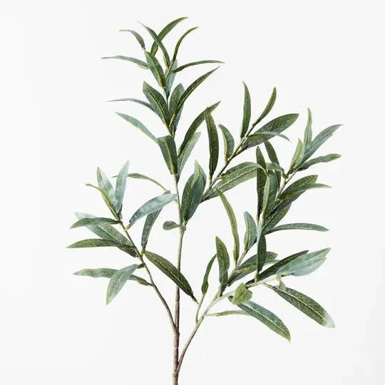 Olive Leaf Spray