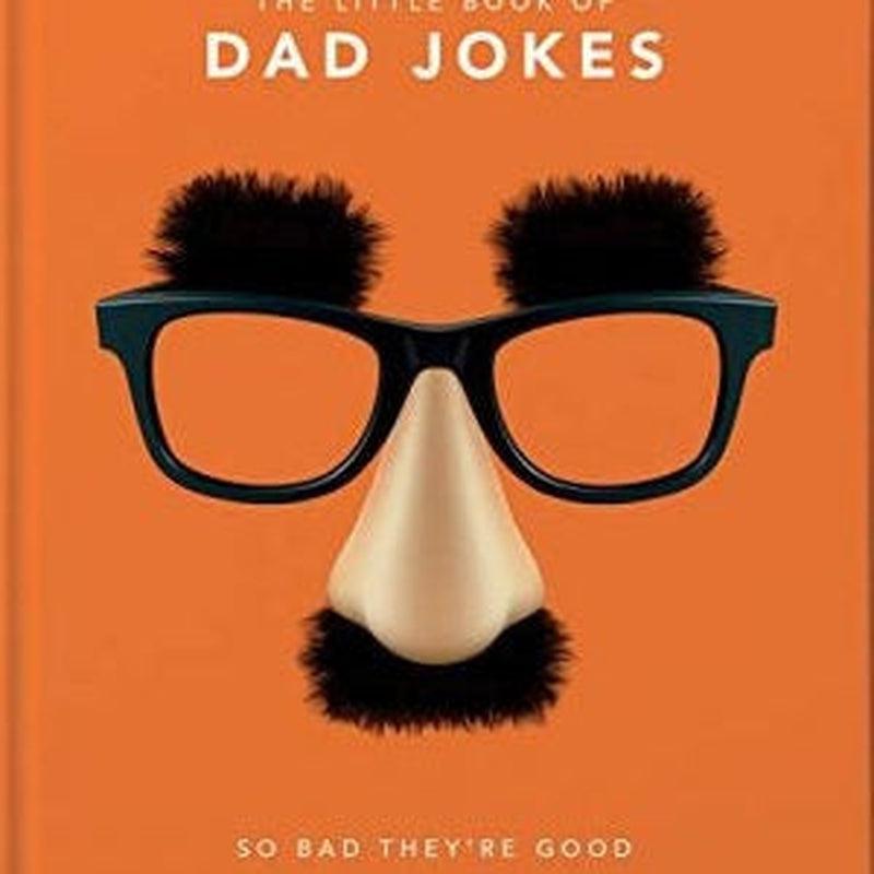 'Little Book of Dad Jokes'
The best dad joke book you'll ever read. Yes, it's that bad. As the ancient adage goes, 'A good dad joke is as bad as a bad dad joke'. On that fuzzy logic alone, 10HolaBox