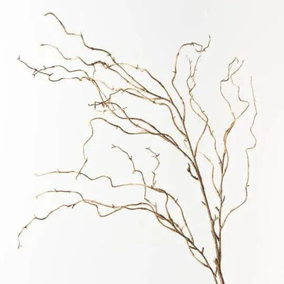 Twig Curly Willow Spray